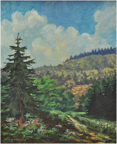 Paesaggio boschivo estivo - ,